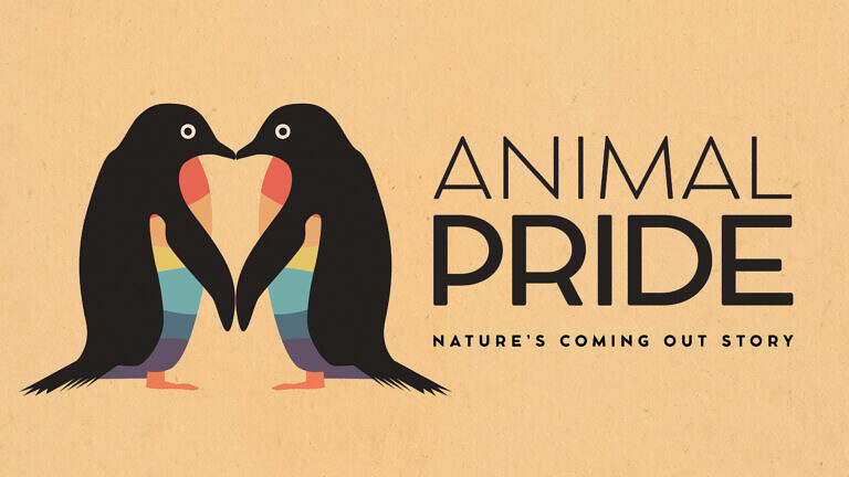 Animal Pride_website