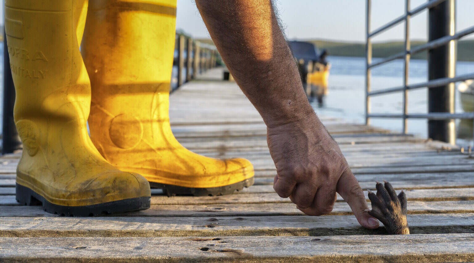 Molly and Billy connecting on the pontoon.(National Geographic/Charlie Hamilton James)