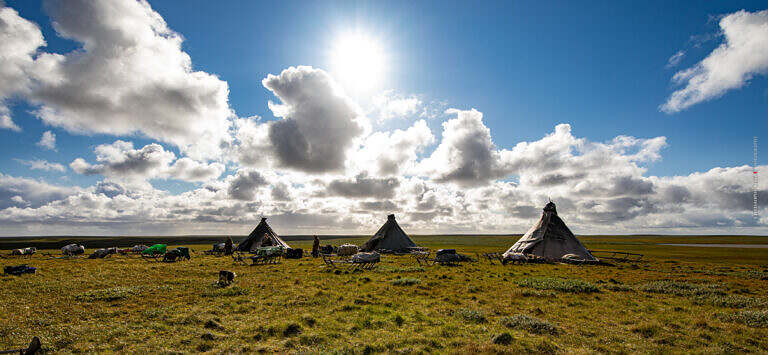 Campement nenets dans la toundra_300dpi