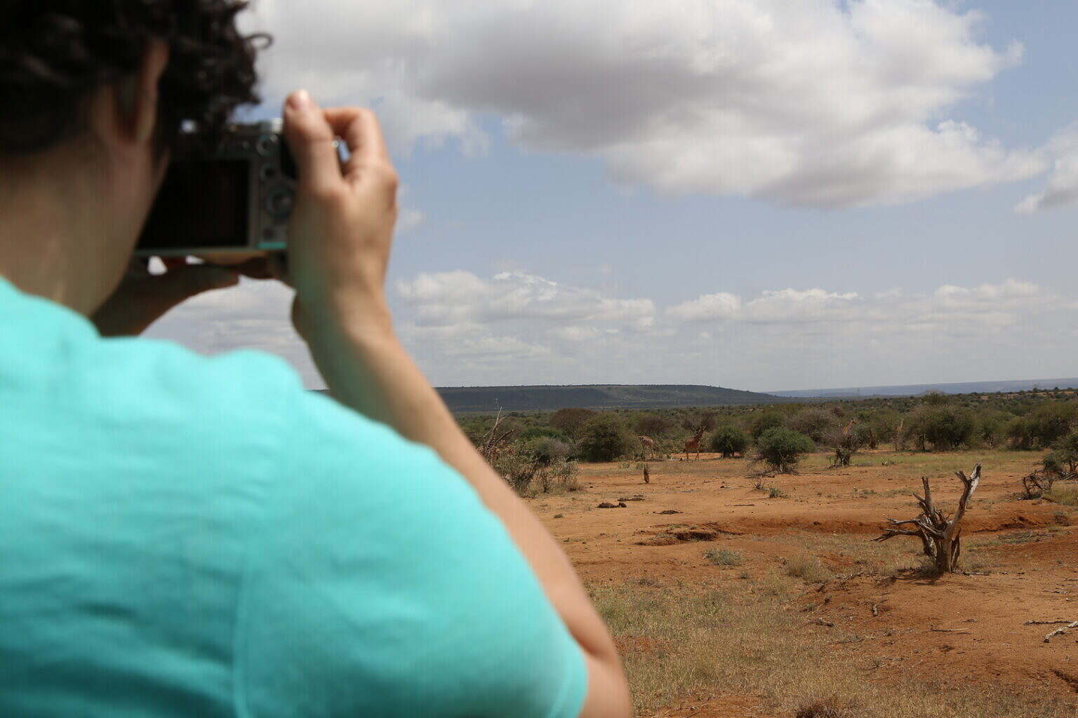 Photo 4 02_Kenia_Tanya_Berger-Wolf_fotografiert_Netzgiraffen_fr_eine_KI-Software