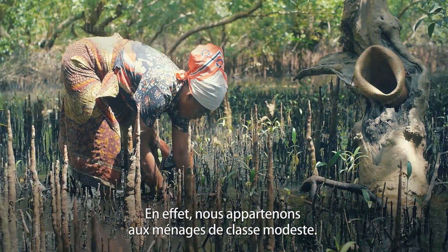 une_pêche_aux_abois_dans_la_mangrove (0-00-21-02)